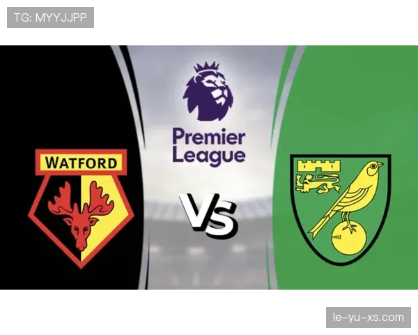 诺维奇金丝雀强势归来，新赛季剑指逆袭